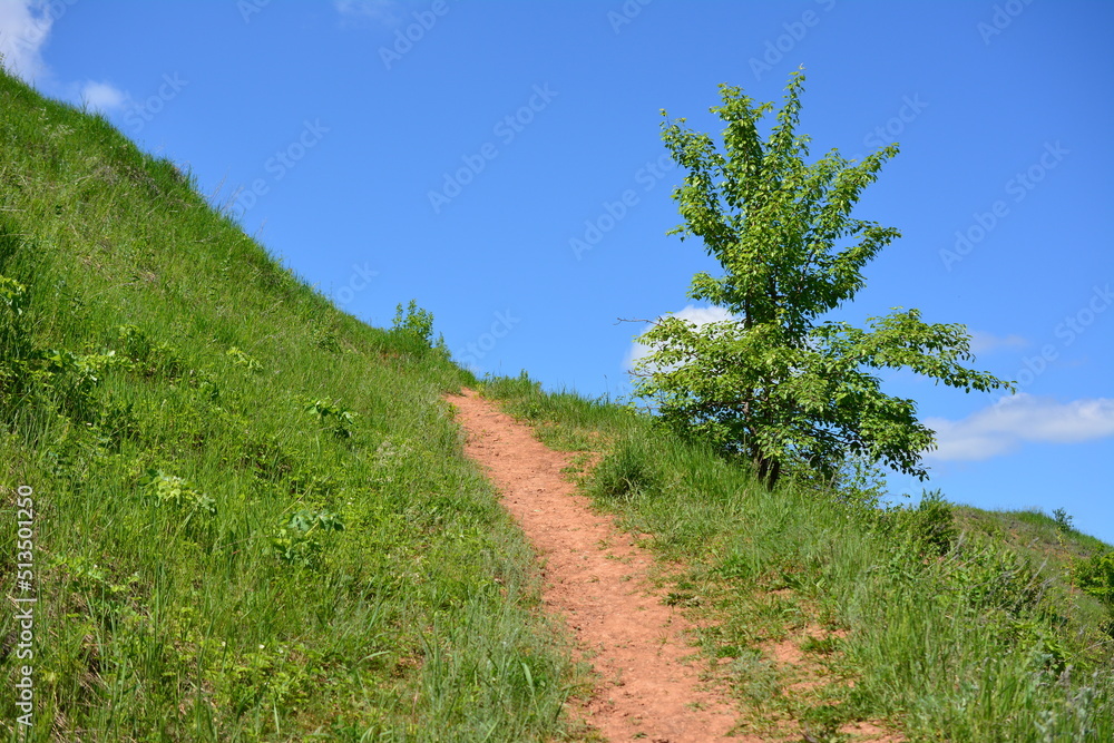 footpath in mountains going up to blue sky