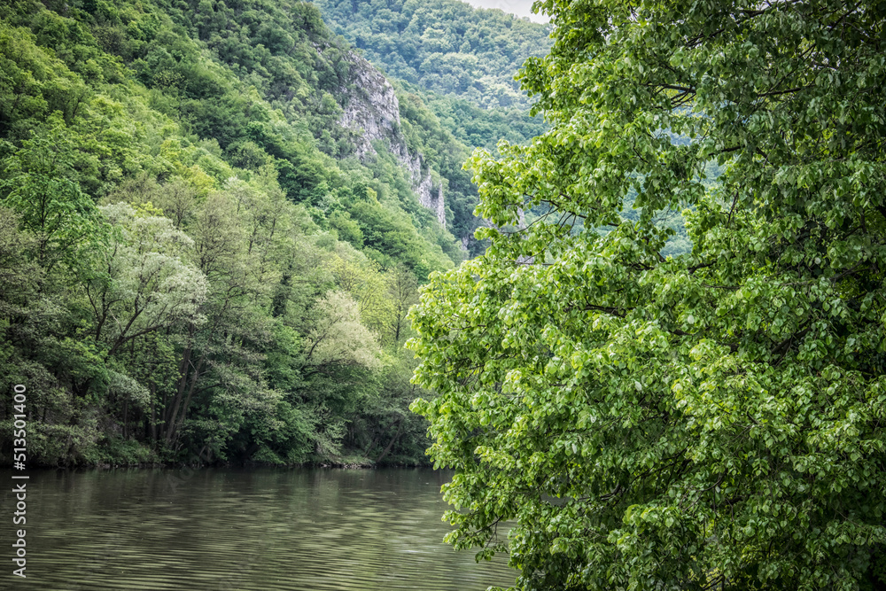 Fototapeta premium Beautiful nature on the banks of Western Morava river in Serbia
