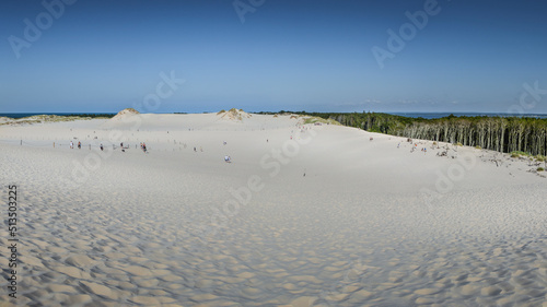 Sandy dunes in a summer time at Slowinski National Park  Poland