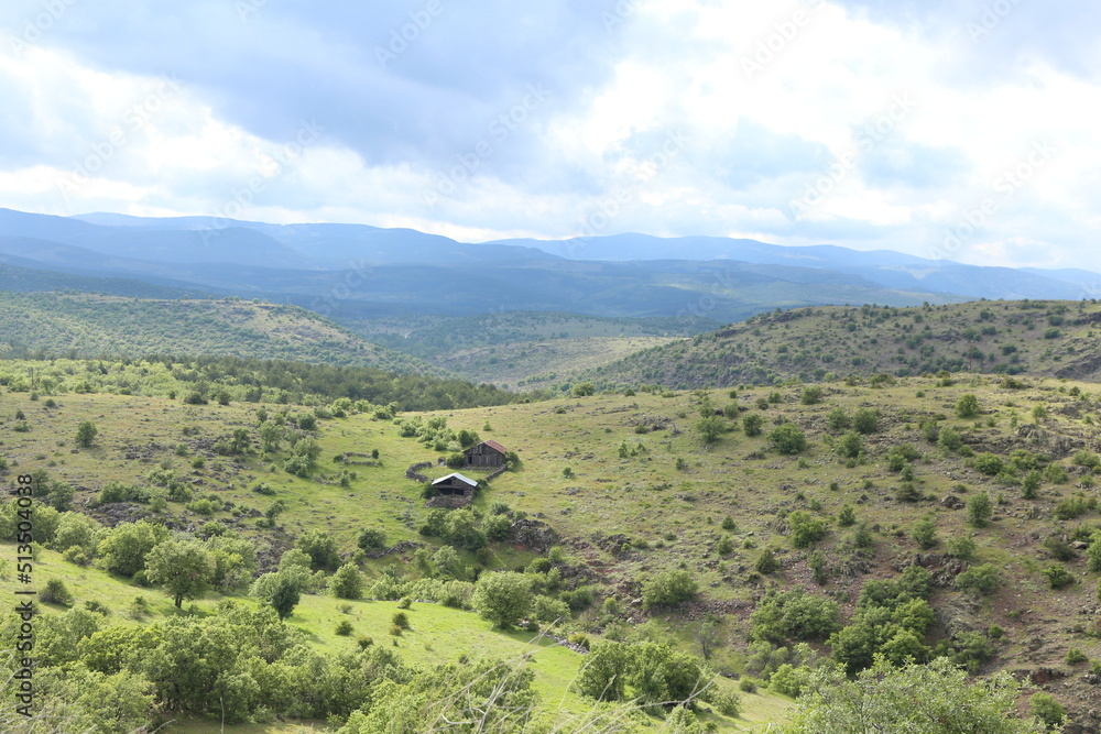 landscape with mountains and trees