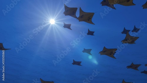 Animation of a shoal of manta rays backlit and reflections of the sun's rays on the water surface and lens flares. Visualization on the topic of environmental problems in the world's oceans.