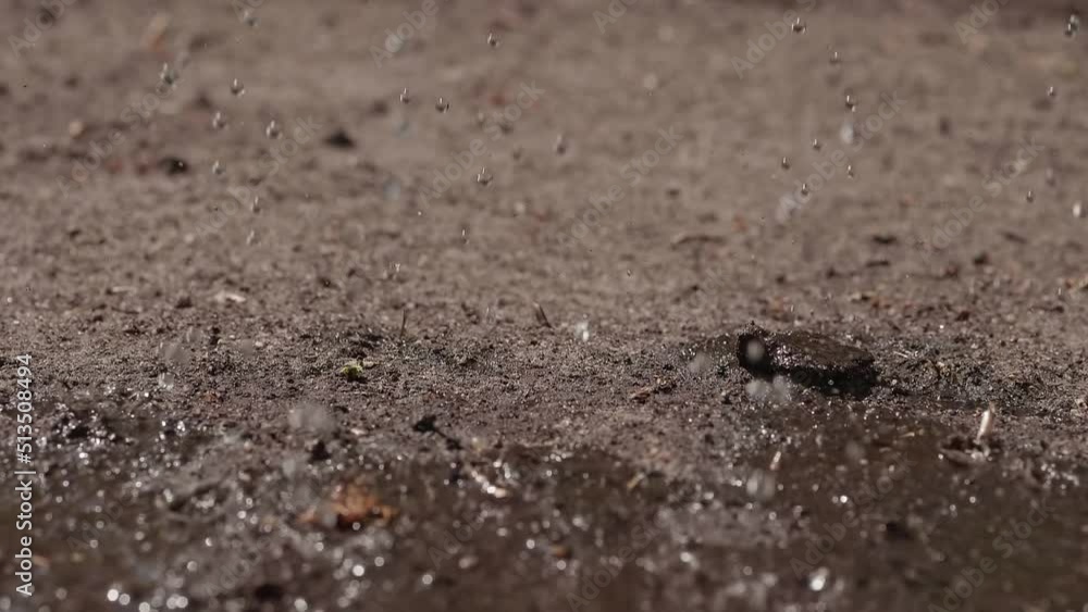 Dried, cracked ground watered with water. Slow motion recording. Dried, cracked ground watered with water. Slow motion recording.