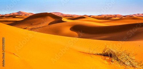 Amazing view of sand dunes in the Sahara Desert. Location  Sahara Desert  Merzouga  Morocco. Artistic picture. Beauty world.