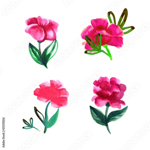 A set of four pink vector peonies. Watercolor peonies. Watercolor flowers. Wedding, festive peonies. © Anna