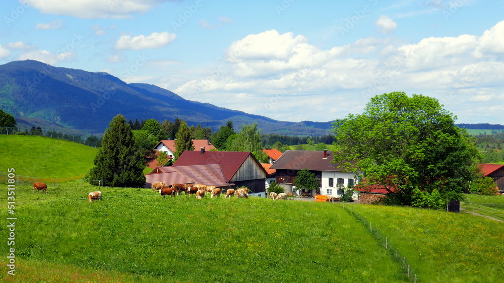 malerische Landschaft im Ammergau mit Wiesen, Wald, Land- und Viehwirtschaft und herrlichem Himmel