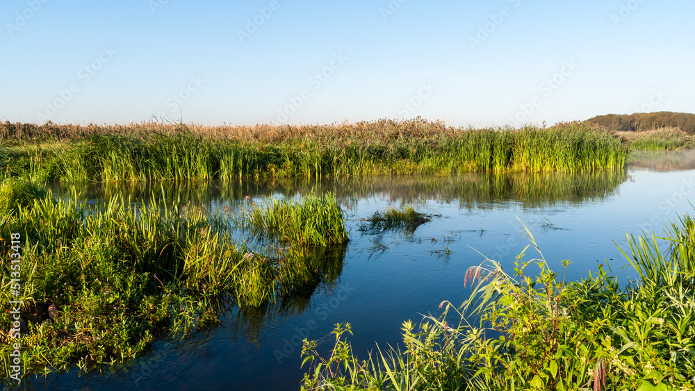 Lato w Narwiańskim Parku Narodowym, Podlasie, Polska Lato w Narwiańskim Parku Narodowym, Podlasie, Polska