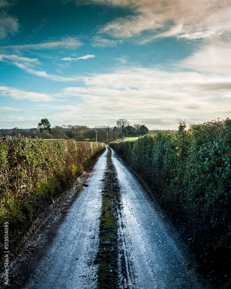 Fototapeta premium road in the countryside after the rain