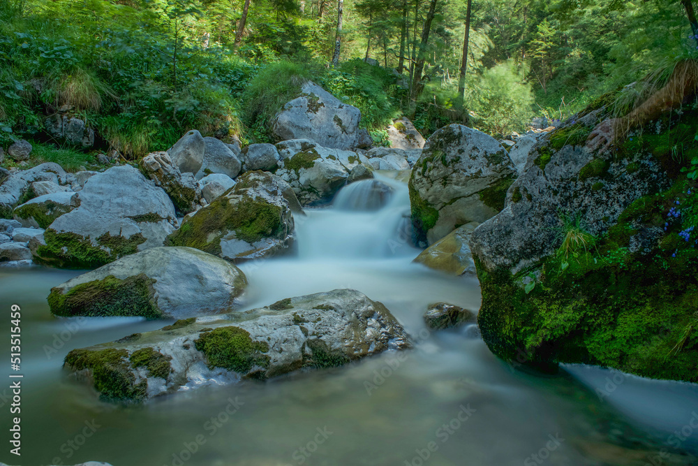 waterfall in the forest