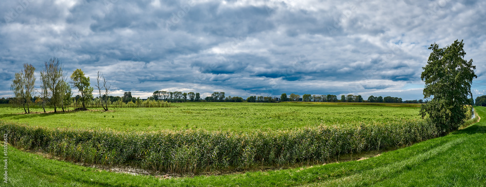 Wiesenlandschaft am Havelradweg zwischen Schmergow und Phöben – Panorama aus 6 Einzelbildern Wiesenlandschaft am Havelradweg zwischen Schmergow und Phöben – Panorama aus 6 Einzelbildern