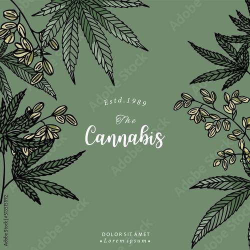 Collection of green cannabis background