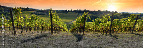 Beautiful vineyards at sunset in the Chianti Classico region near Greve in Chianti. Italy