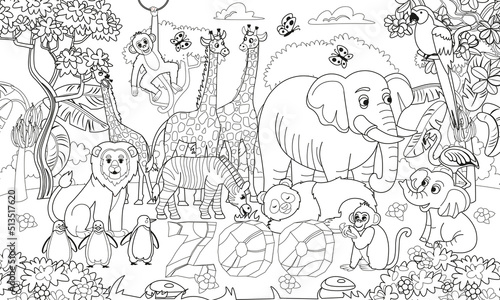 zoo animals 2