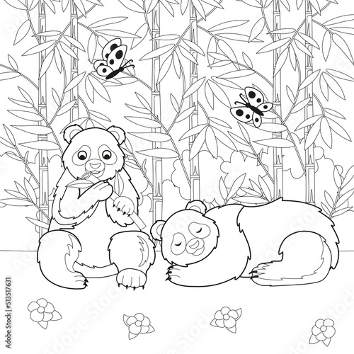 Fototapeta Naklejka Na Ścianę i Meble -  Set of cute big panda. Panda eating bamboo leaves, panda sleeping. Pandas in a clearing in the thickets of bamboo. Vector cartoon illustration.