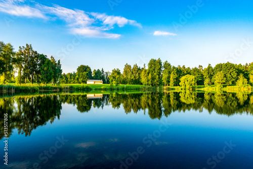 Green foliage reflections in a lake water