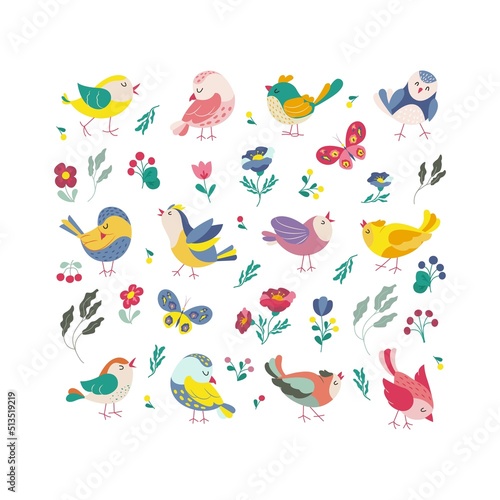 Funny colored birds butterflies and flowers set. Exotic birds collection. Vector illustration in flat style.