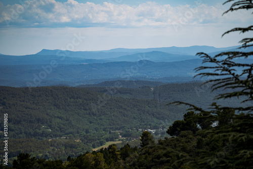 The valleys of the Provence (France) Alpes. Pine trees, mountains.