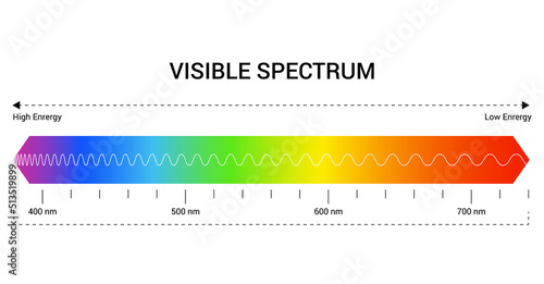 Spectrum wavelength. Visible spectrum color range. Educational physics light line. Wavelengths of the visible part of the spectrum for human eyes