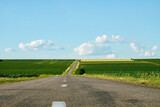Asphalt road panorama through soybean fields in countryside 