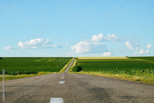 Asphalt road panorama through soybean fields in countryside 
