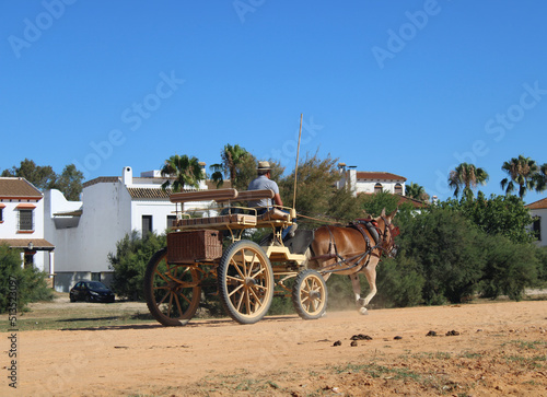 donkey-drawn carriage in El Rocio, huelva province, almonte, andalusia, spain