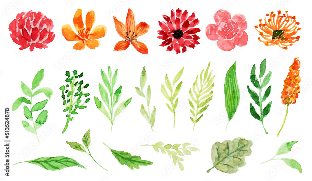 set of wild flower and leaf watercolor