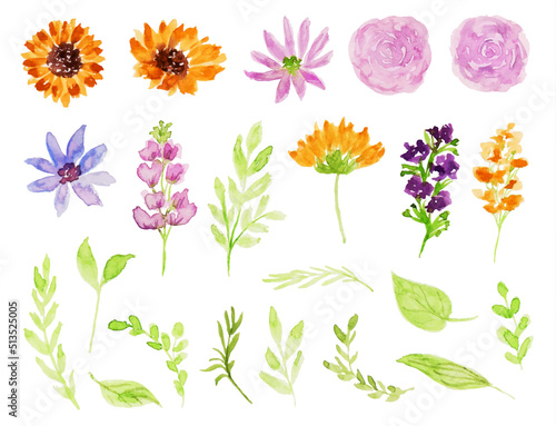 Cute Wild Flower Watercolor Collection