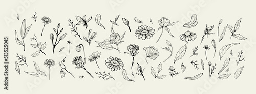 Trendy floral branch and minimalist flowers for logo or decorations. Hand drawn line wedding herb, elegant leaves for invitation save the date card. Botanical rustic trendy greenery