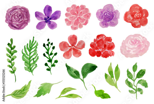 Fototapeta Naklejka Na Ścianę i Meble -  Beautiful Summer Flower Watercolor Collection