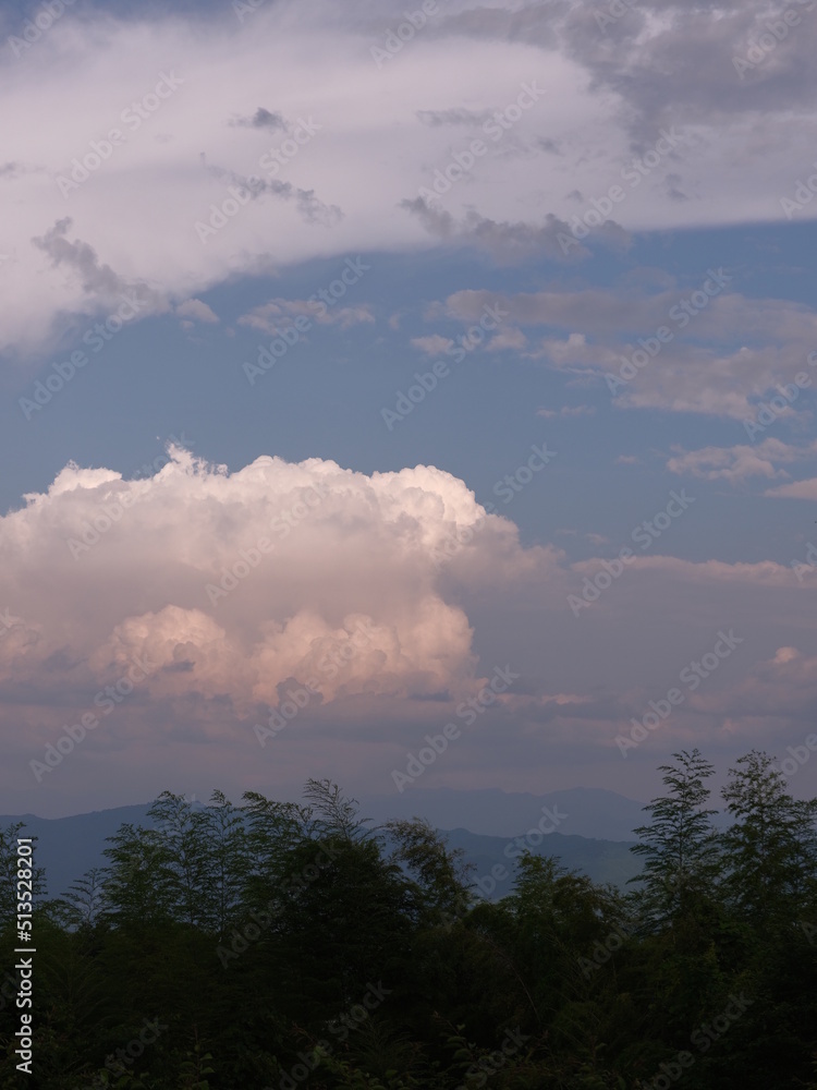 Fototapeta premium 森と空