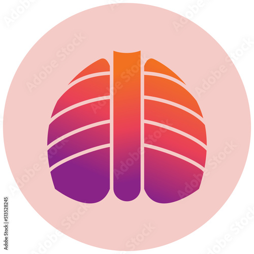 X-ray Icon