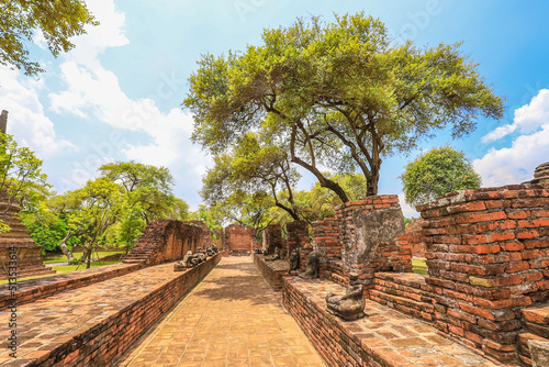 Ayutthaya,Thailand on July 8,2020:The ruins of Wat Phra Ram in Ayutthaya Historical Park,a UNESCO World Heritage Site.