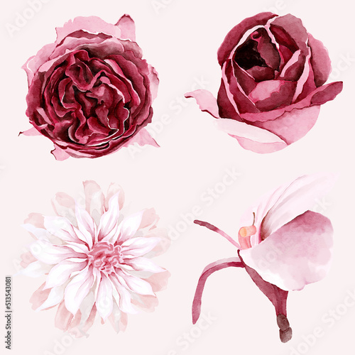 Watercolor burgundy and blush flowers