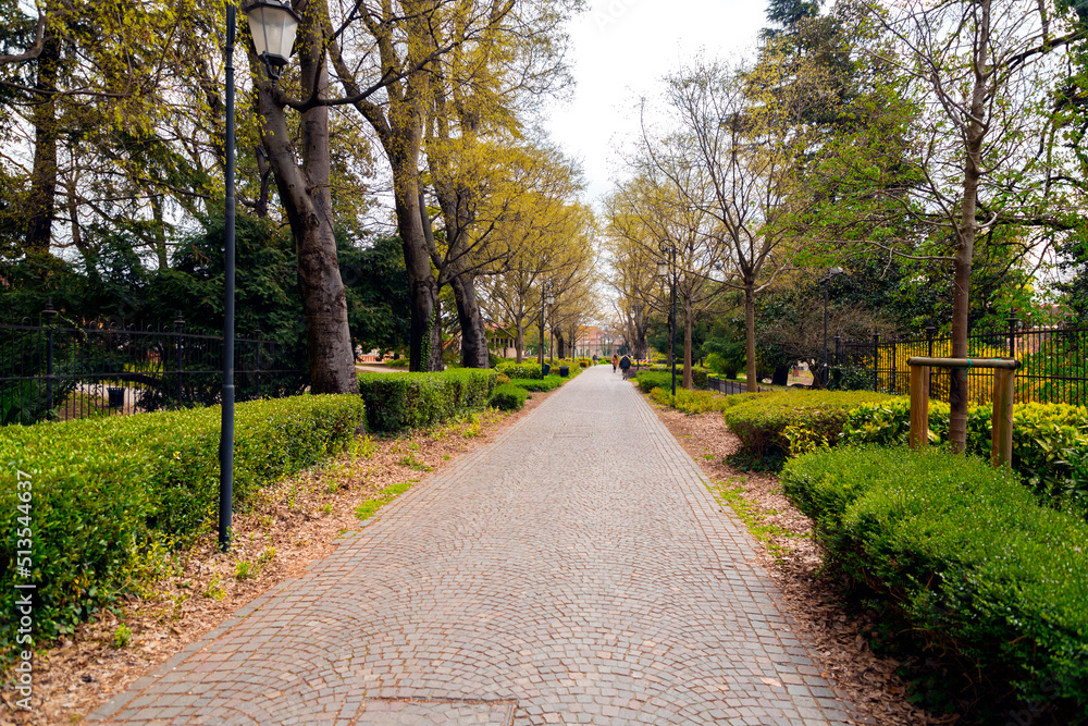 Fototapeta premium City park and walking paths under the trees in Padua, Italy