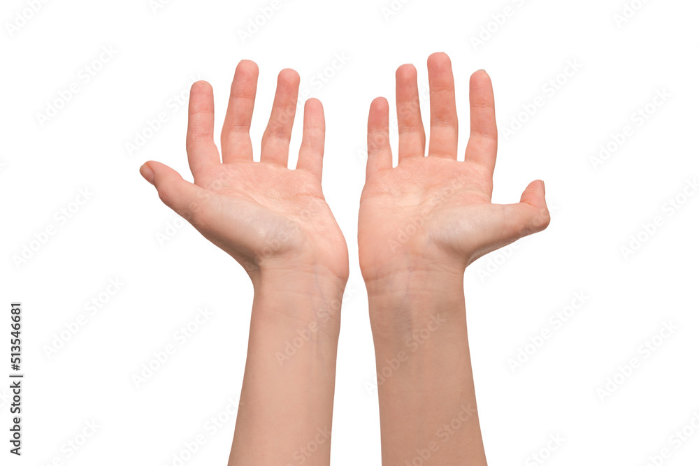 Woman hand isolated on a white background. Woman hand isolated on a white background.