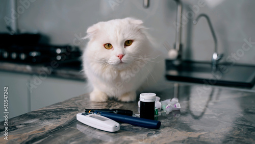 Medical devices. Glucometer, test strips and syringe pen with insulin lie on the table. Blood level monitoring at home.Device for measuring sugar. Cat sniffs objects on the kitchen surface 
