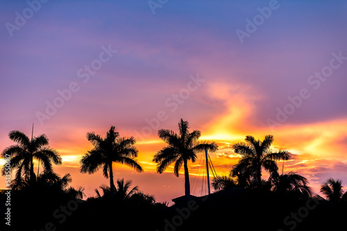Hollywood Beach in North Miami  Florida view of villas houses at beautiful purple and orange glowing sunset with palm trees in dark silhouette closeup