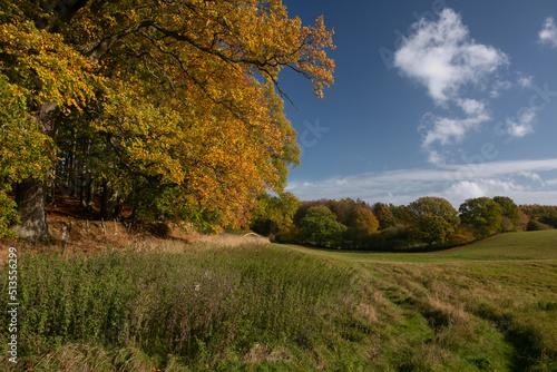 Fototapeta Naklejka Na Ścianę i Meble -  Scenic rural landscape with hills and forets in beautiful autumn colors.