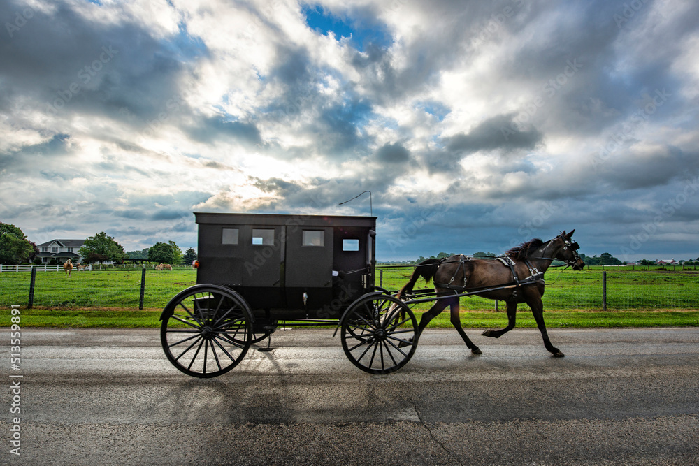 horse drawn carriage in the countryside on a cloudy day