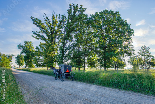 Amish Buggy on rural road in early morning with sun low on horizon.