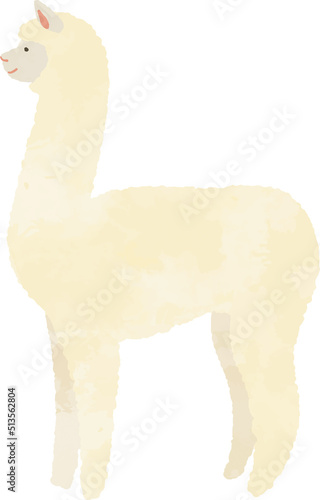 アルパカのイラスト