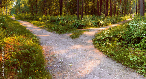 From the wide path in the park, another alley branches off, going in the other direction. Various routes and destinations. conceptual landscape