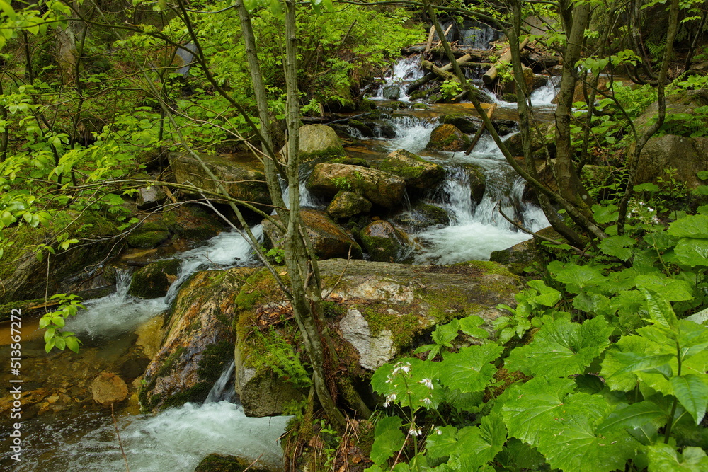 Wild river Bila Opava in Jeseniky, Czech Republic, Europe, Central Europe
Wild river Bila Opava in Jeseniky, Czech Republic, Europe, Central Europe