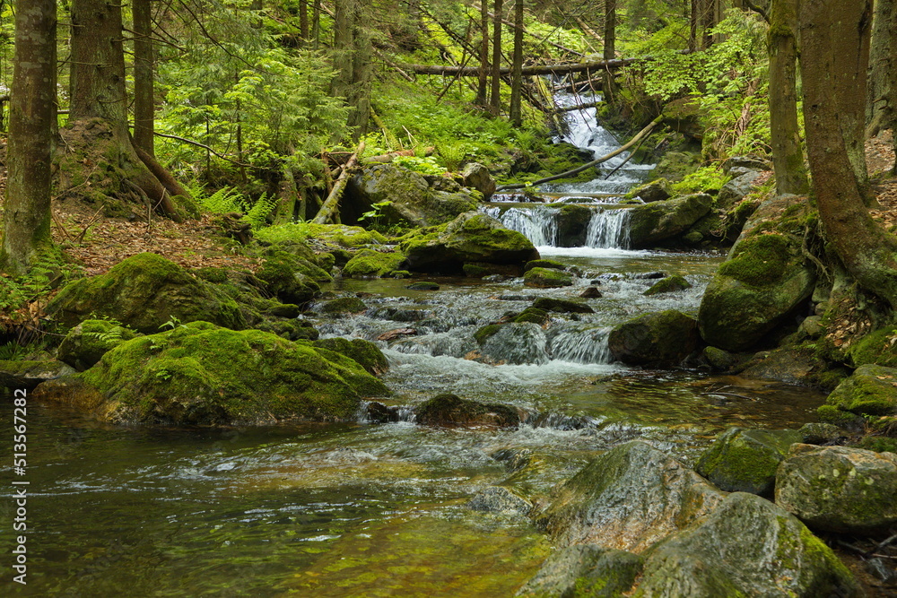 Wild river Bila Opava in Jeseniky, Czech Republic, Europe, Central Europe
