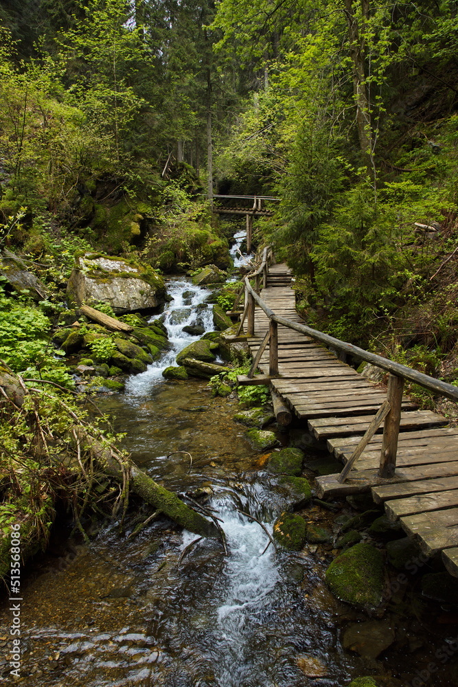Hiking trail at the river Bila Opava in Jeseniky, Czech Republic, Europe, Central Europe
Hiking trail at the river Bila Opava in Jeseniky, Czech Republic, Europe, Central Europe