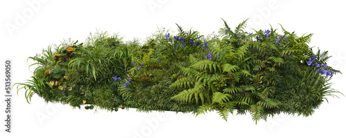 3D render flowers and shrubs with white background