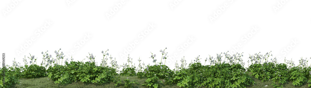 Obraz premium 3D render flowers and shrubs with white background