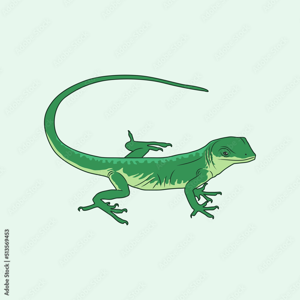 Green Lizard Vector Illustration, green lizard in the rainforest, green lizard pet illustration Green Lizard Vector Illustration, green lizard in the rainforest, green lizard pet illustration