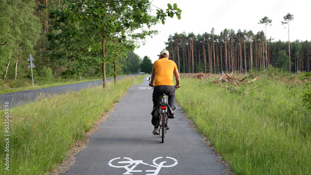 Kierownica roweru, rowerzysta na ścieżce rowerowej w lesie. - obrazy, fototapety, plakaty 