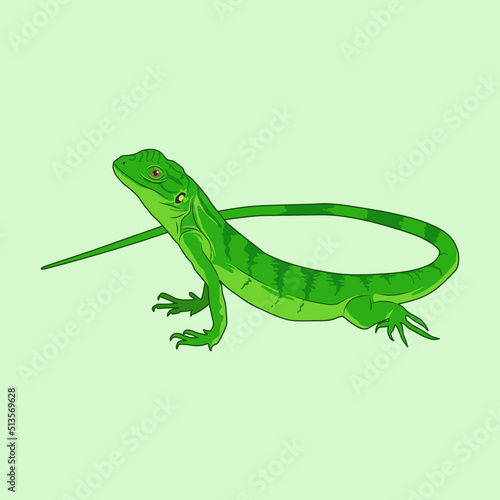 Green Lizard Vector Illustration, green lizard in the rainforest, green lizard pet illustration
