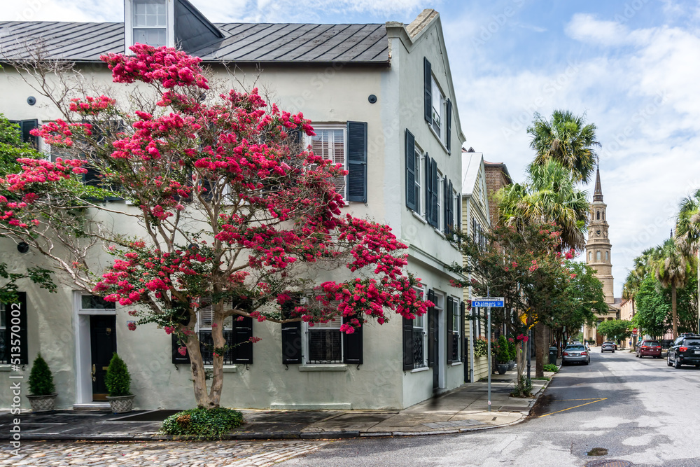 Obraz premium Charleston Church Street 3